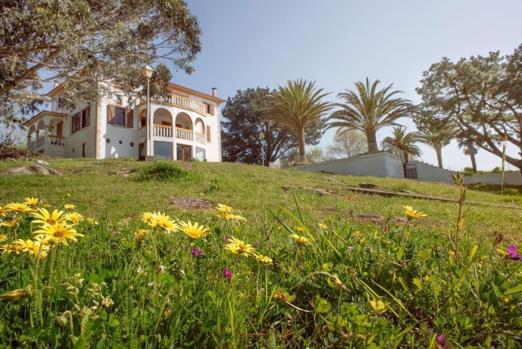 Villa Con Vistas Magnificas! Minortos Dış mekan fotoğraf